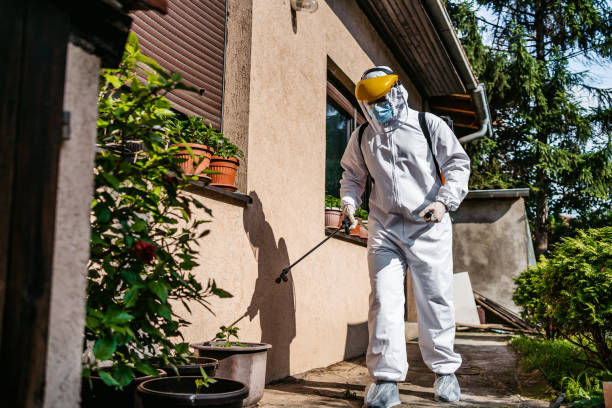 Best Pest Control Near Me  in Noble, OK