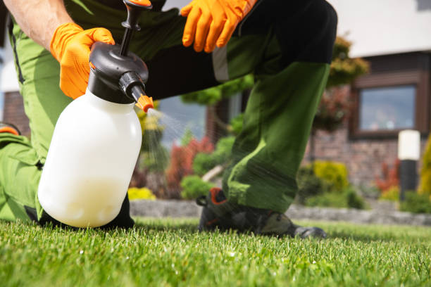 Best Pest Inspection Near Me  in Noble, OK