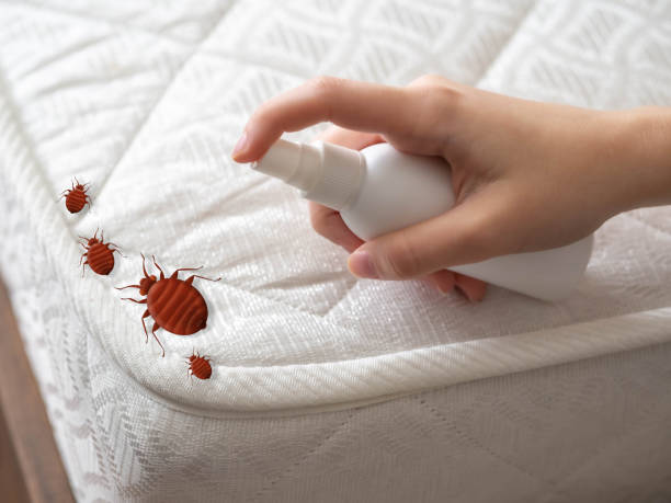 Best Flea Control Services  in Noble, OK