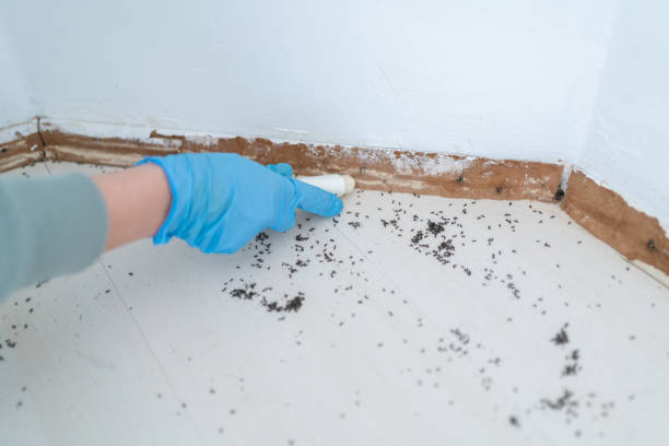 Noble, OK Pest Control Company