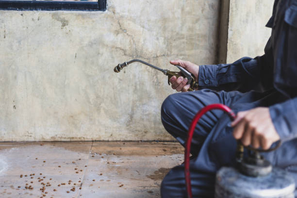 Best Best Pest Control Companies  in Noble, OK